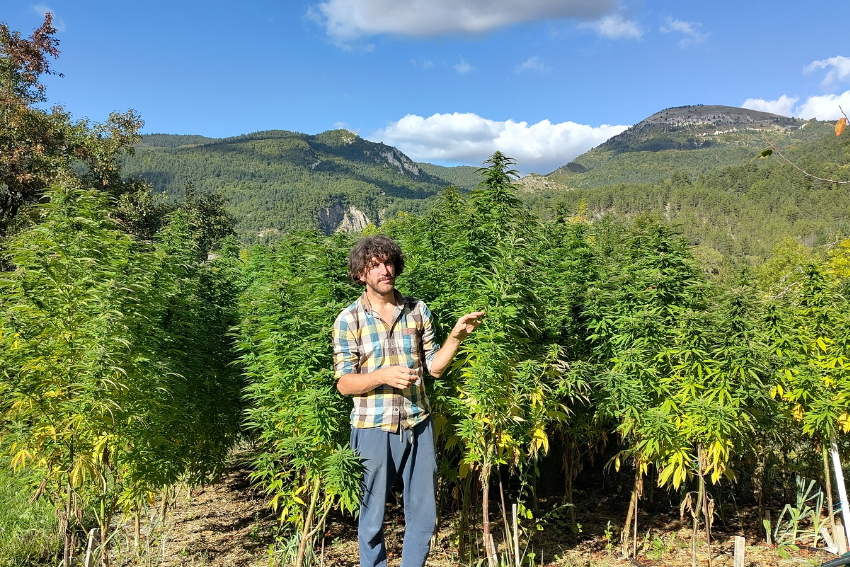 Exploitation CBD C'est BeauDoin